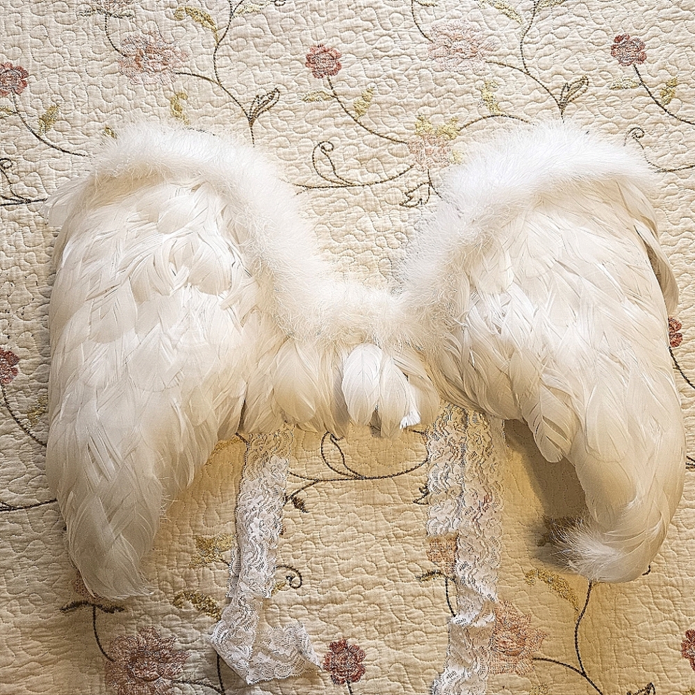 Down Feather Angel Wings